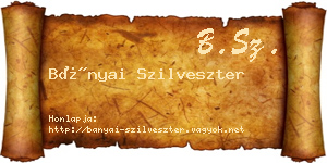 Bányai Szilveszter névjegykártya